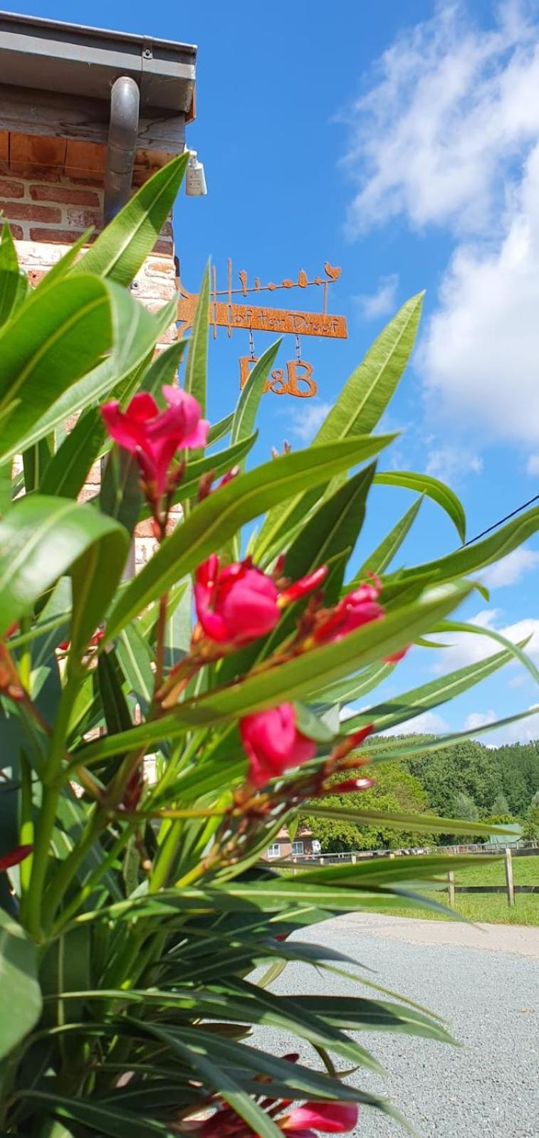 Hof Ter Dreef Bed & Breakfast Meise Dış mekan fotoğraf