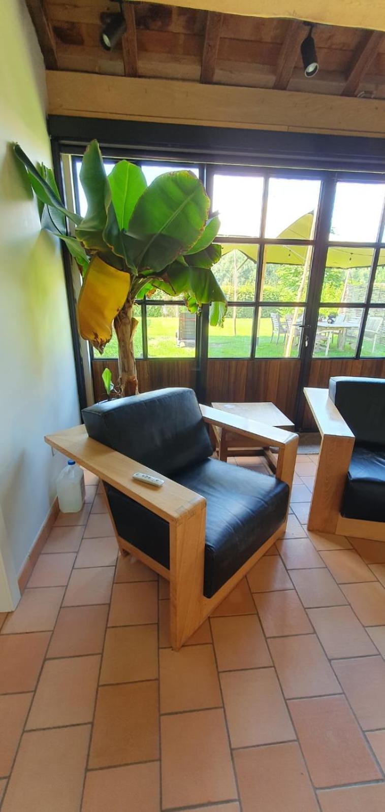 Hof Ter Dreef Bed & Breakfast Meise Dış mekan fotoğraf